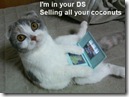 lolcat_ds