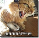 lolcat_leeeeeroy