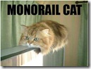 lolcat_monorail