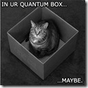 lolcat_schroedinger