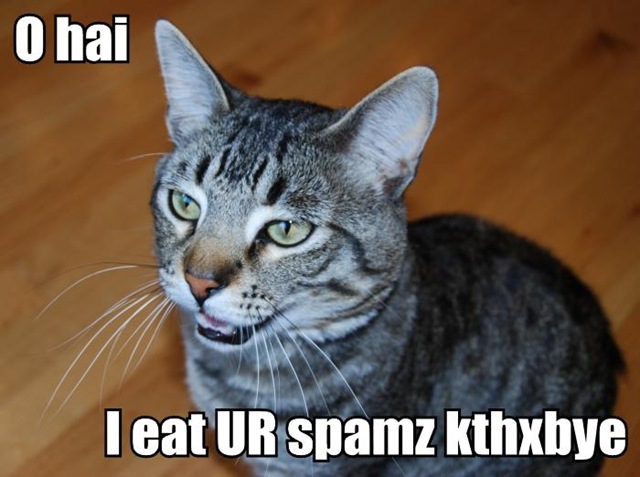 lolcat_spam.jpg